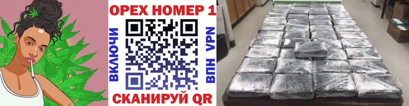 где можно купить наркотик  Новотитаровская  ОМГ ОМГ онион  COCAIN 99% 