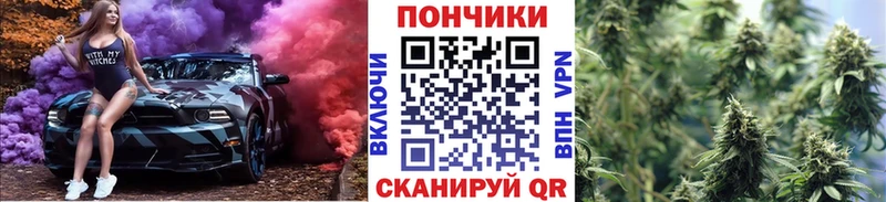Бошки Шишки сатива  Новотитаровская 